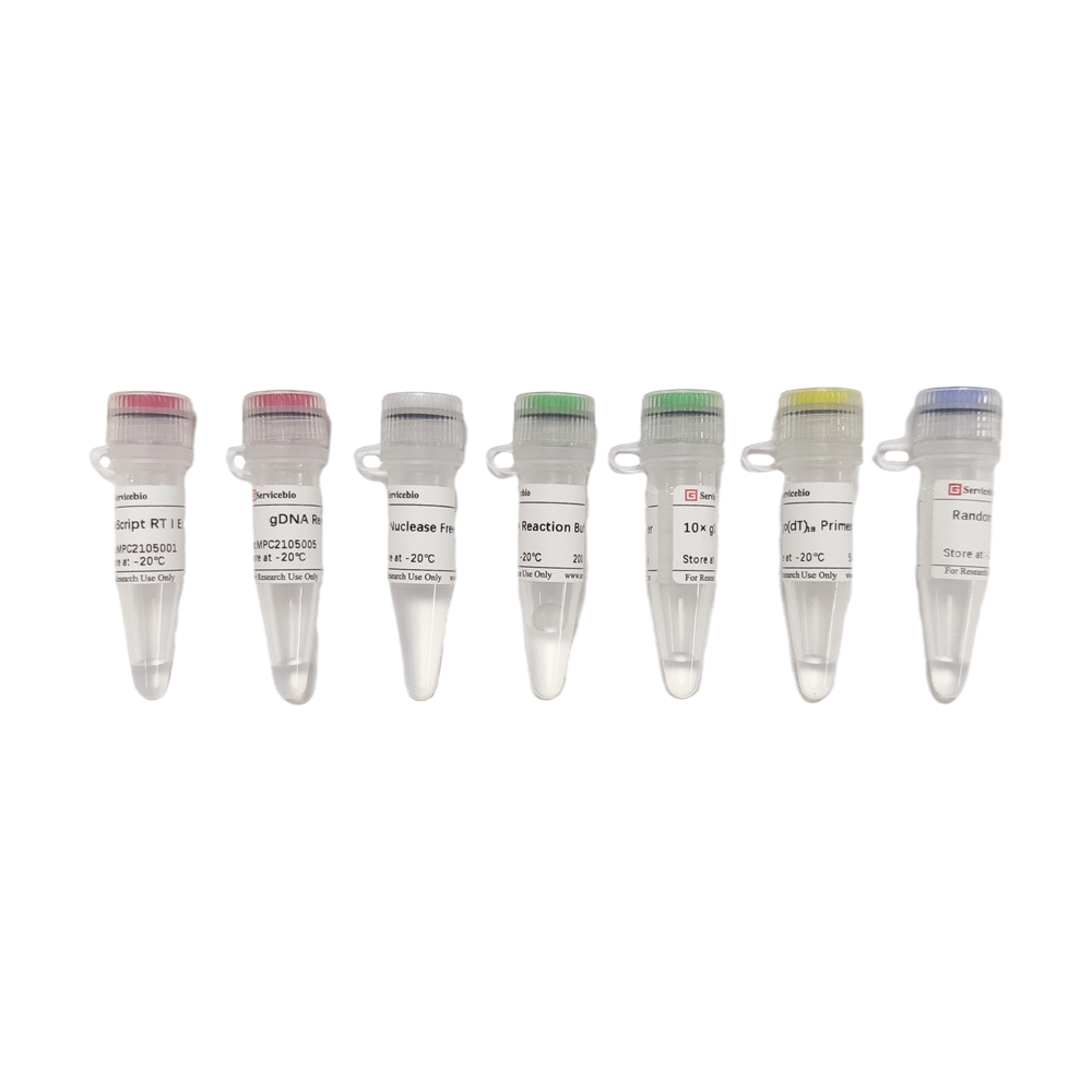 2. SweScript RT I First Strand cDNA Synthesis Kit (With gDNA Remover), 50 rxns $433,
