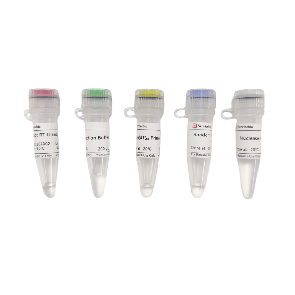 3. SweScript RT II (second generation) First Strand cDNA Synthesis Kit, 50 rxns $420,