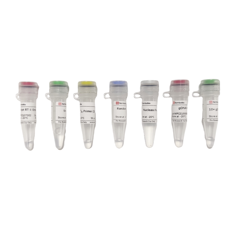 4. SweScript RT II (second generation) First Strand cDNA Synthesis Kit (With gDNA Remover), 50 rxns $469,