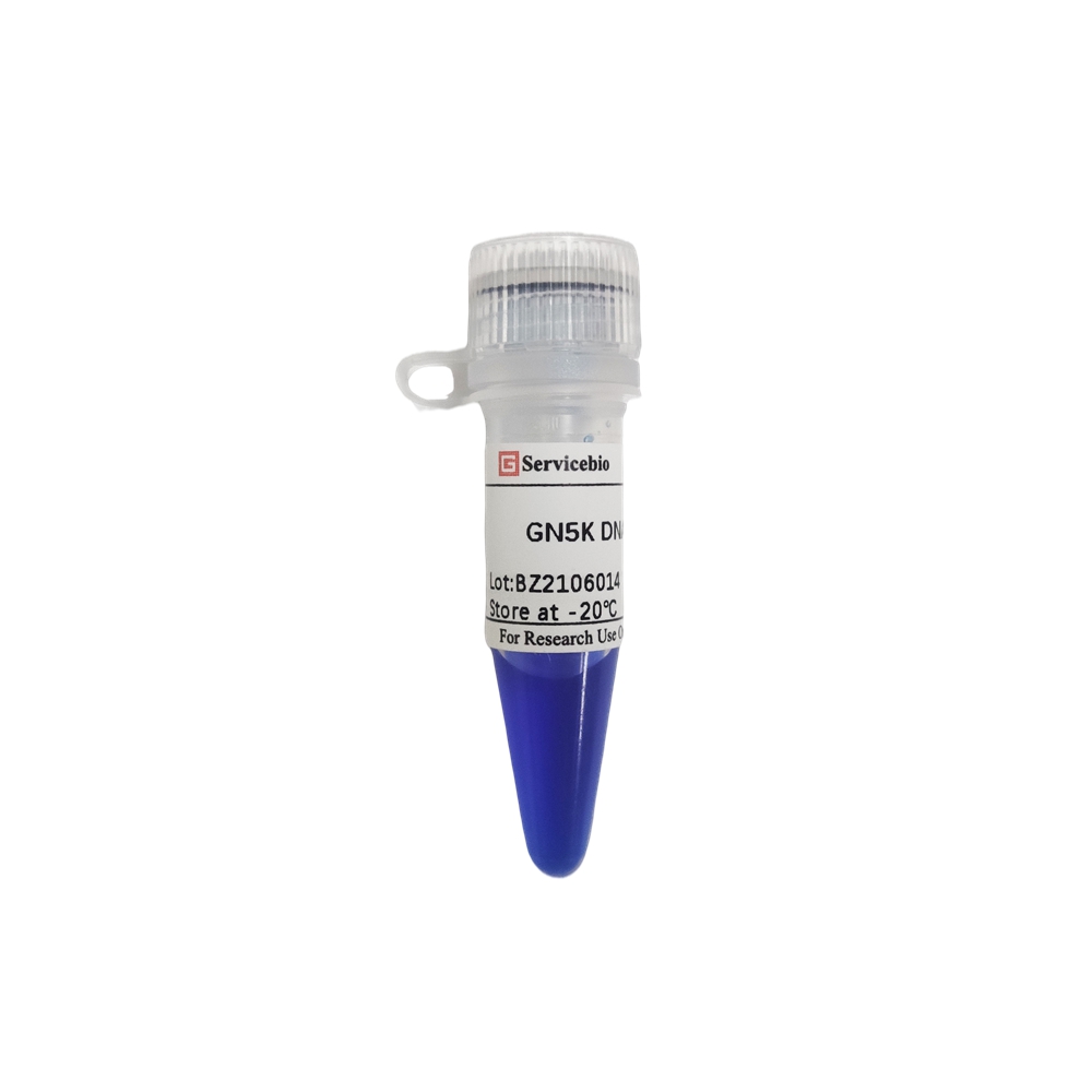 6. GN5K DNA Marker, 500 μL $90