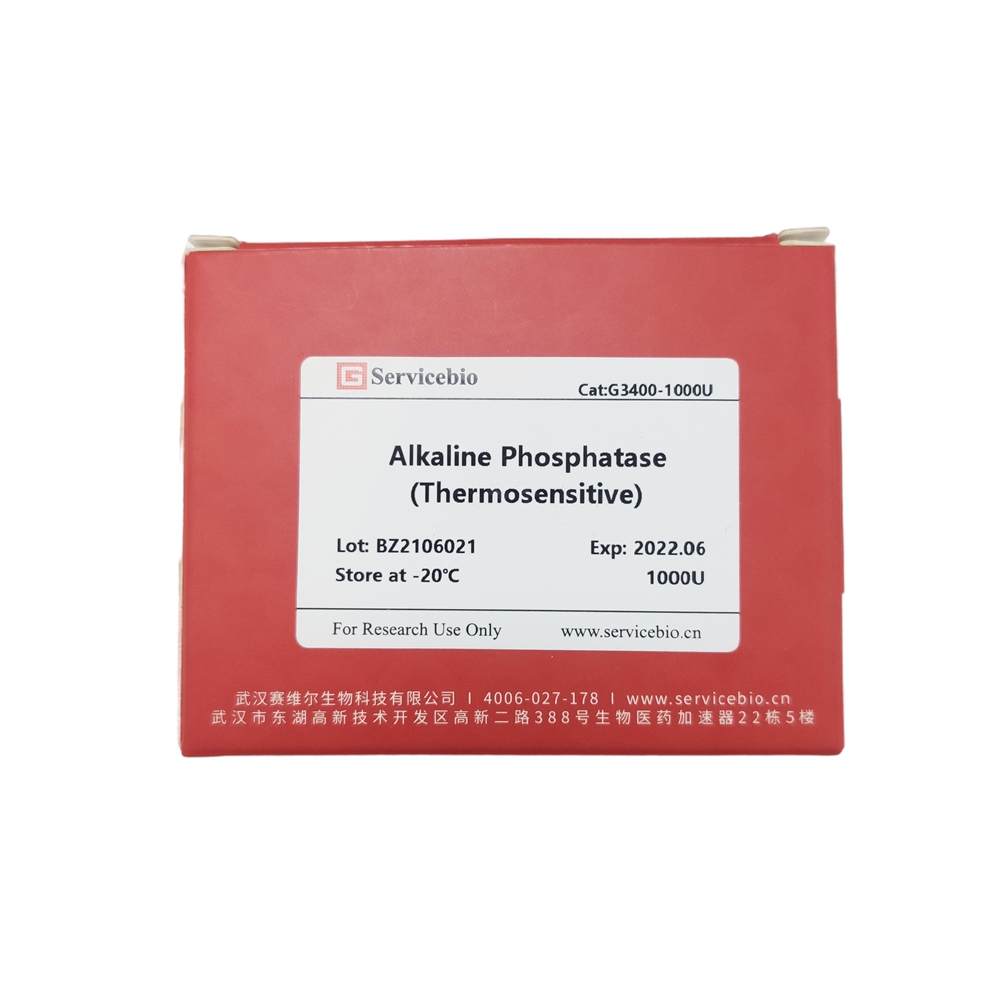 12. Alkaline Phosphatase (Thermosensitive), 5000 U, $330