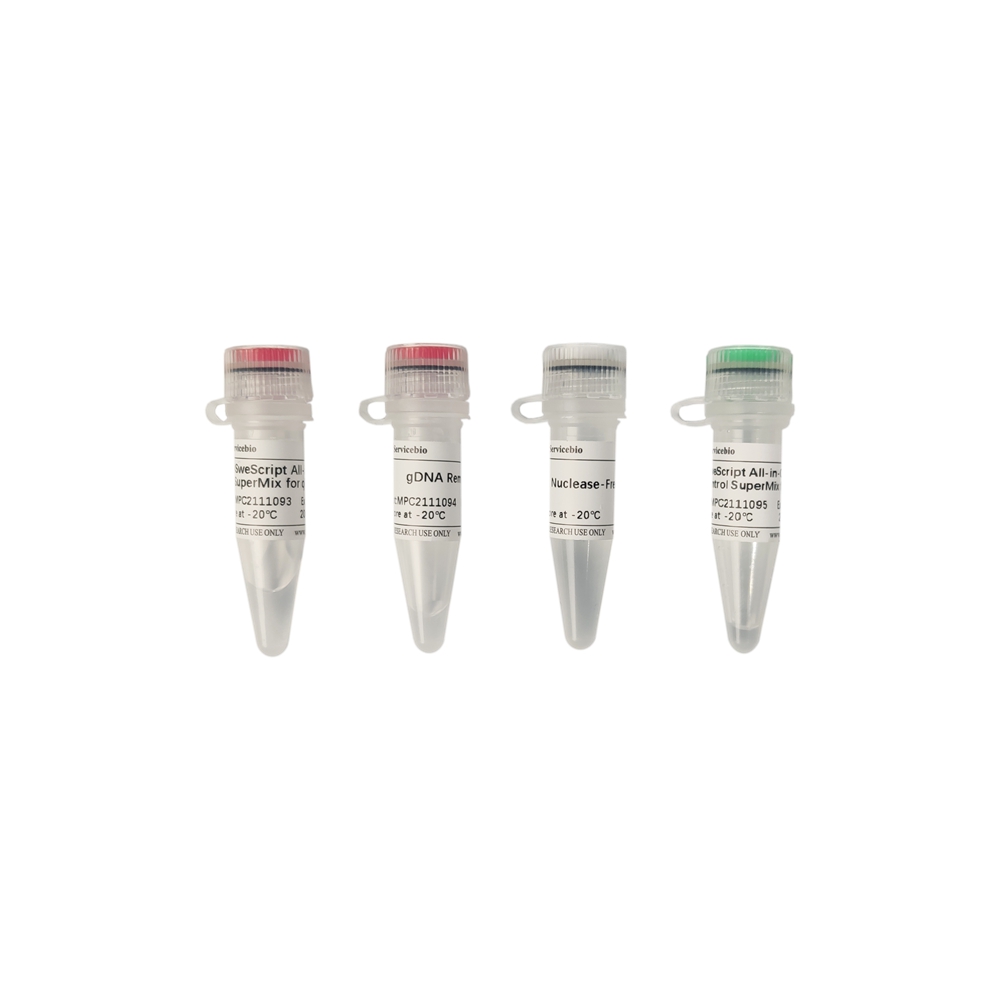 7. SweScript All-in-One RT SuperMix for qPCR (One-Step gDNA Remover), 50 rxns   $460