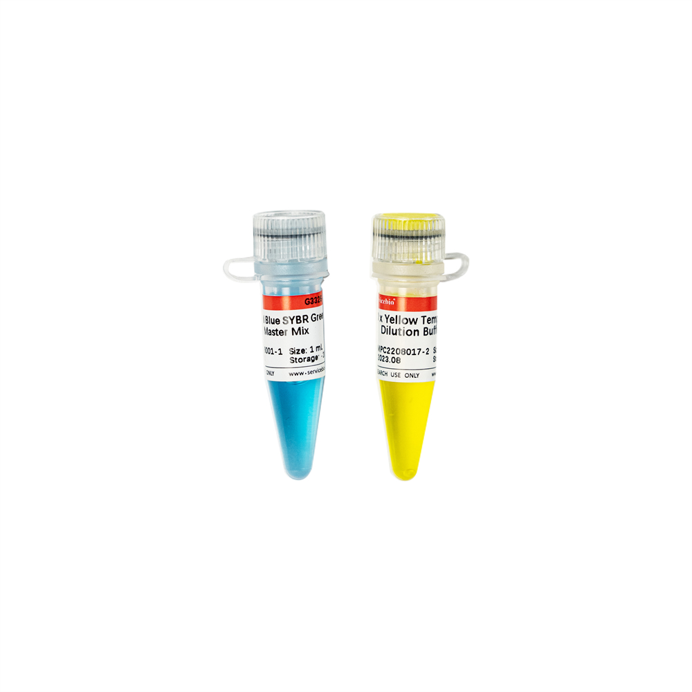 1.    2×Universal Blue SYBR Green qPCR Master Mix With 40×Yellow Template Dilution Buffer, 1ml  $99,