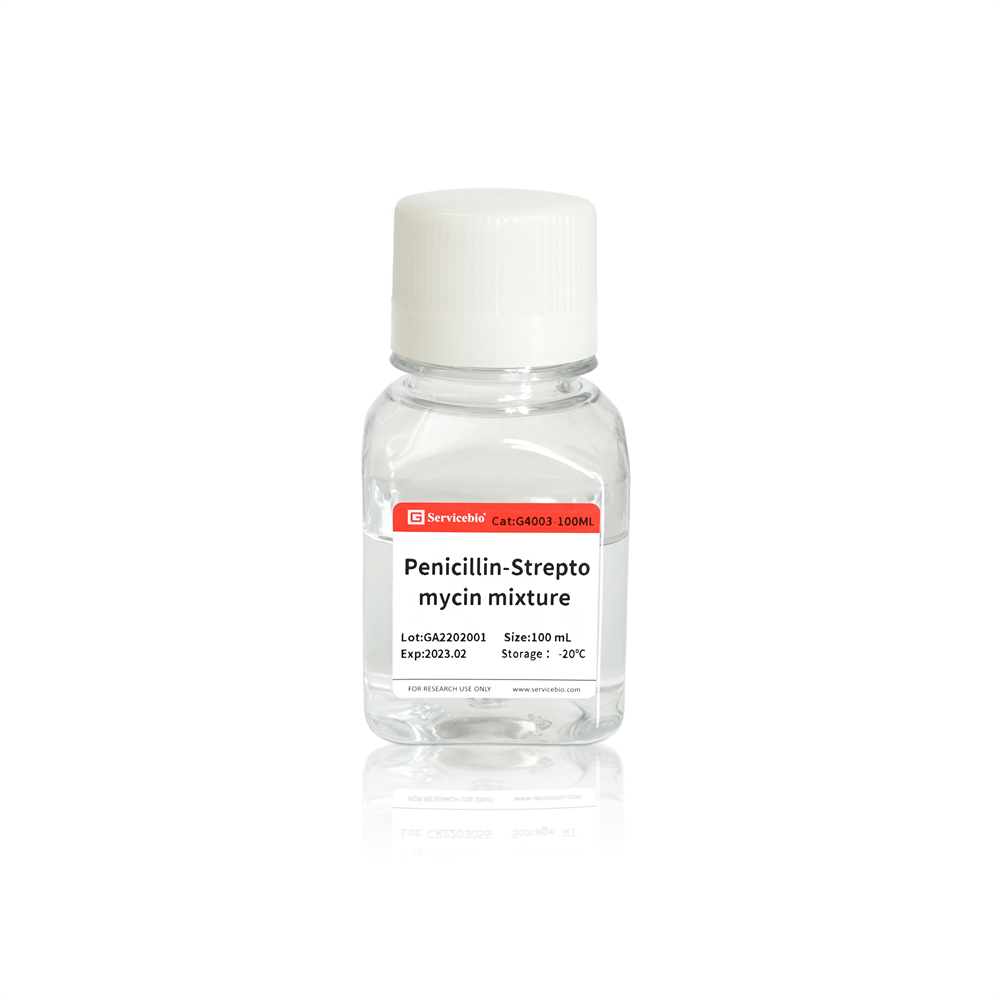 8.  Servicebio® Penicystreptomycin mixture (Penicillin-Streptomycin 10,000 U/mL), (100×) 100 mL, $40