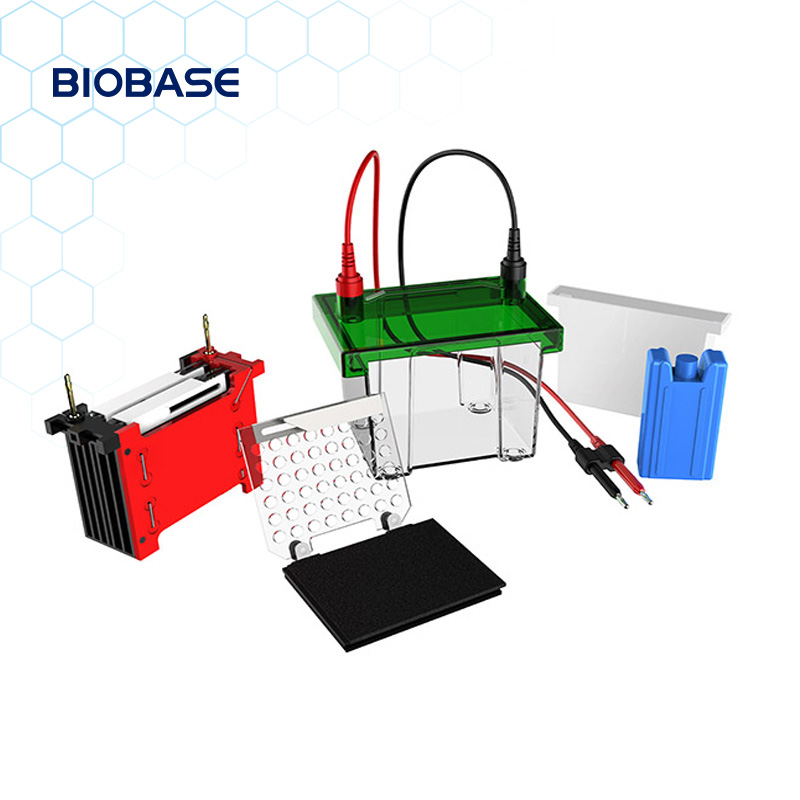 3.  Protein Gel Electrophoresis and Transfer Equipment Western Blot Electrophoresis Tank $1100 ( electrophorsis +transfer equipment both)