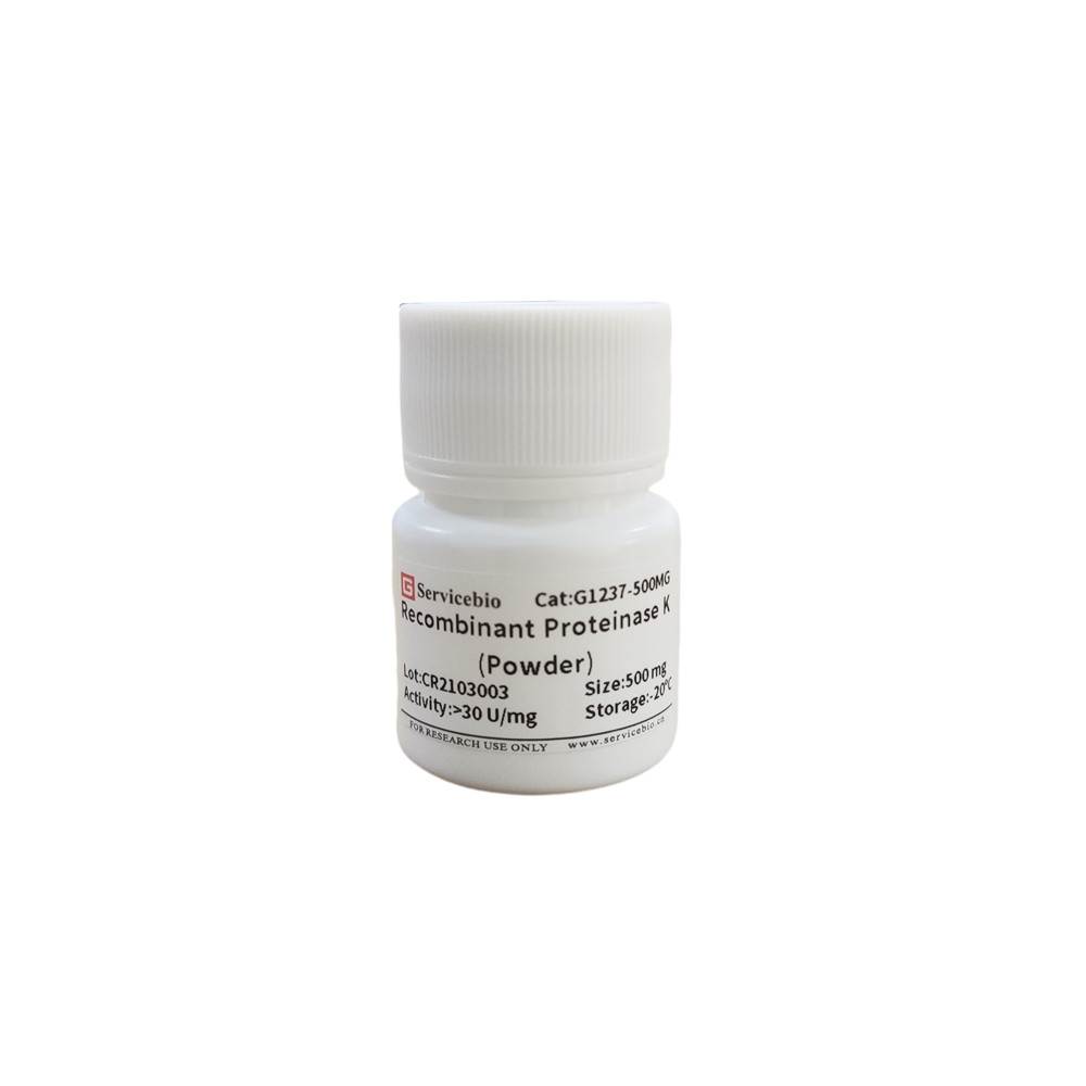 8. Recombinant Proteinase K（Powder), 100 mg  $99, buy more to get lowest prices