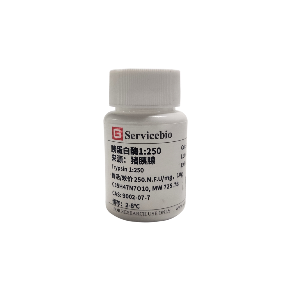 5.  Pancreatic Protease 1:250 (from Porcine Pancreas), 10g $40