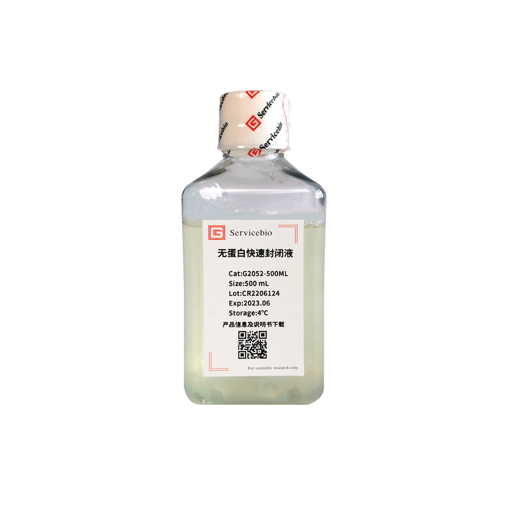 4.  Protein Free Rapid Blocking Buffer (+Western Blot Common Issues Reference Table), 500 ml $149