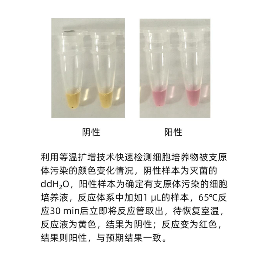 1. One-Step Rapid Chlamydia Detection Test Kit ( simple color ); 50T $350