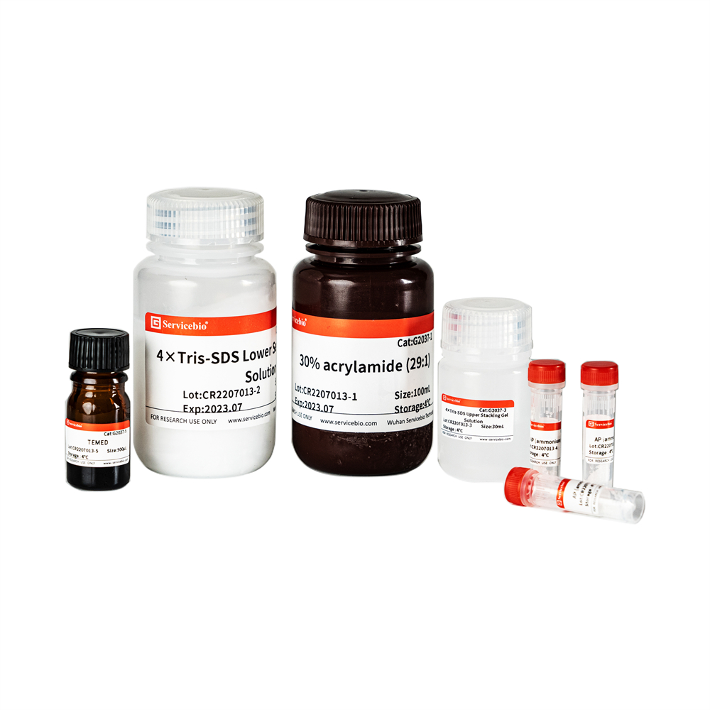 2. {FAST} SDS-PAGE Fast Acrylamide Kit, (any concentration, indication dyes), 50T  $150