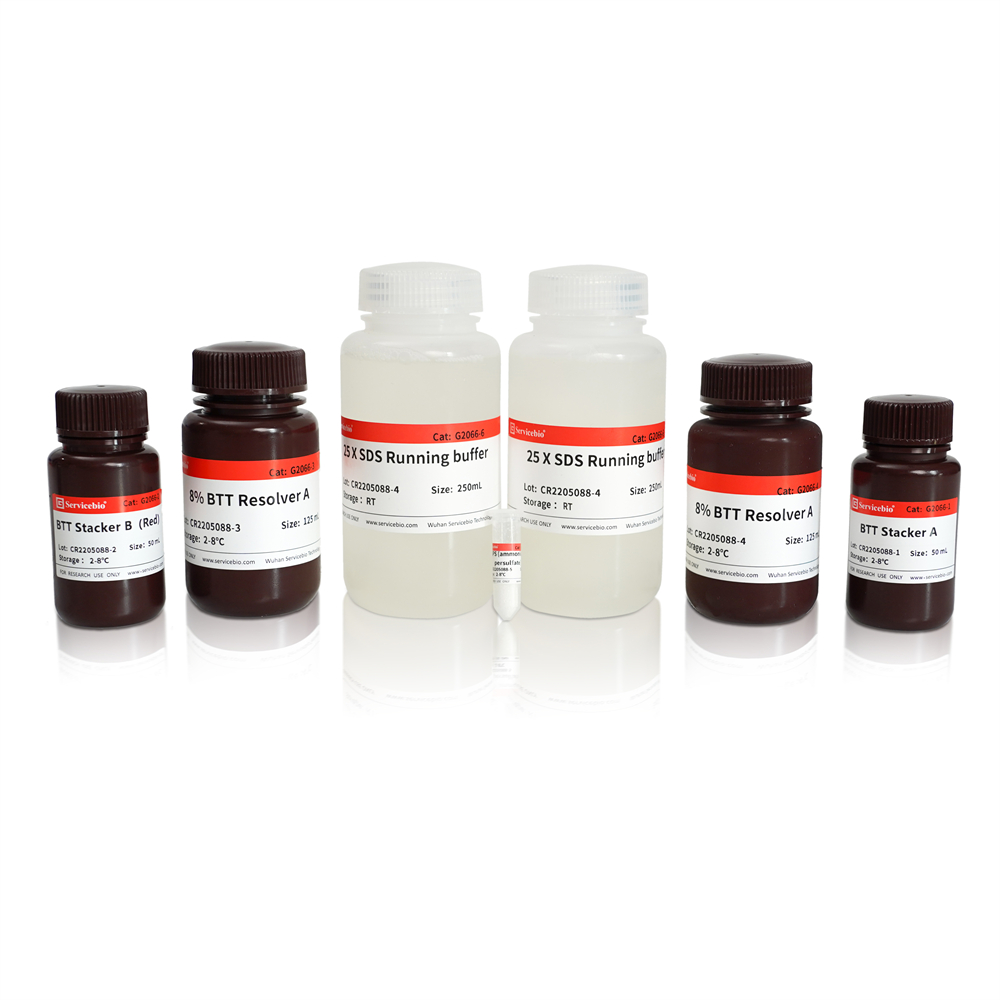 4. {higher resolution and sharper band} BTT Fast-Cast Colorful (Red) Acrylamide Kit,8%, (8% to 12%) , 50T  $248