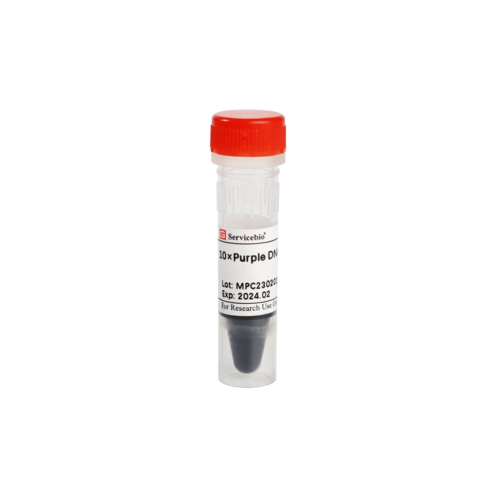 12.   10×Purple DNA Loading Buffer ( two color bands wiht blue and red dyes), 1 ml x 3, $69