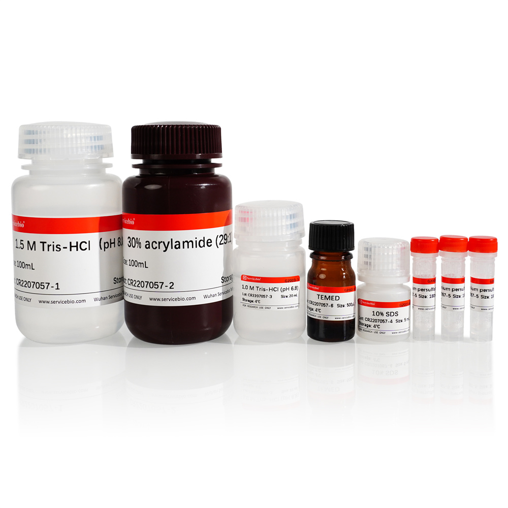 1.SDS-PAGE Gel Preparation Kit, (any concentration, indication dyes), 50T  $150
