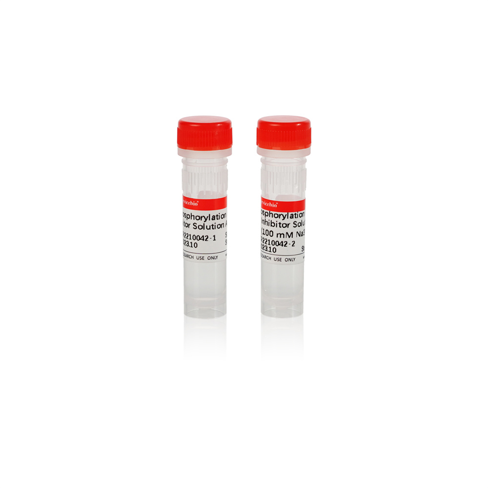 2. Phosphoprotease inhibitors (set) ( 999 T),1 mL×2 (1ul per test), (for cell and tissues) $248