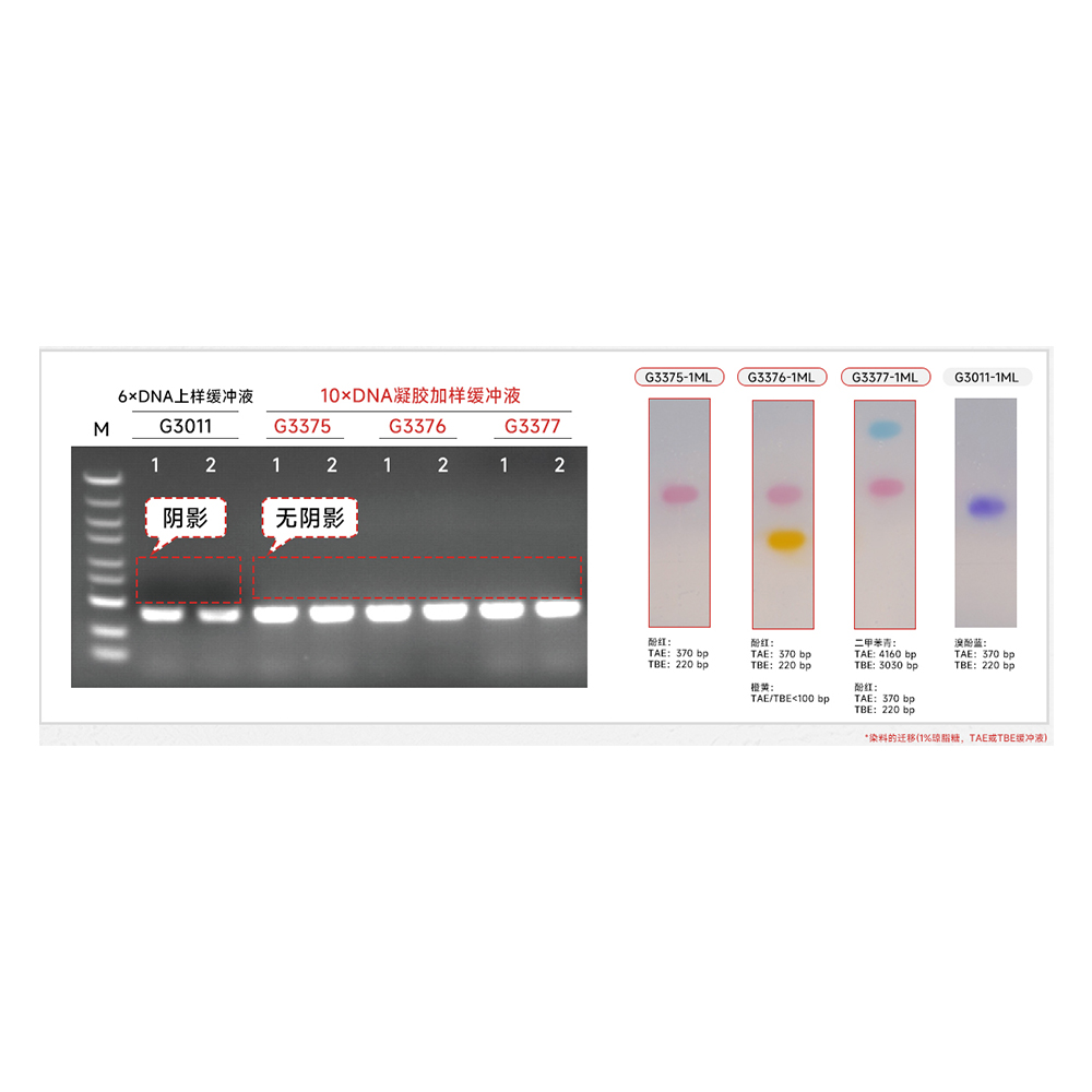 10.   10×Red DNA Loading Buffer (2 color bands with red and orange dyes), 1 ml x3, $69