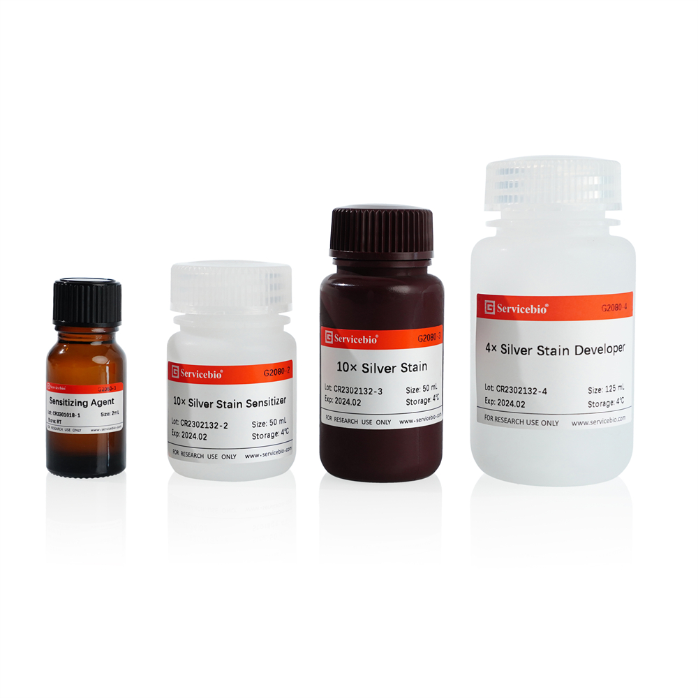 6. Protein Silver Stain Kit, 25T (Protein Silver Staining Kit) $ 448