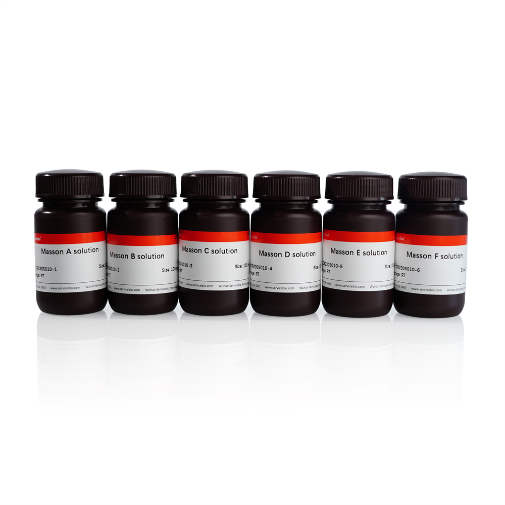 7. Masson Tricolor Staining Kit; 100 mL×6 $400