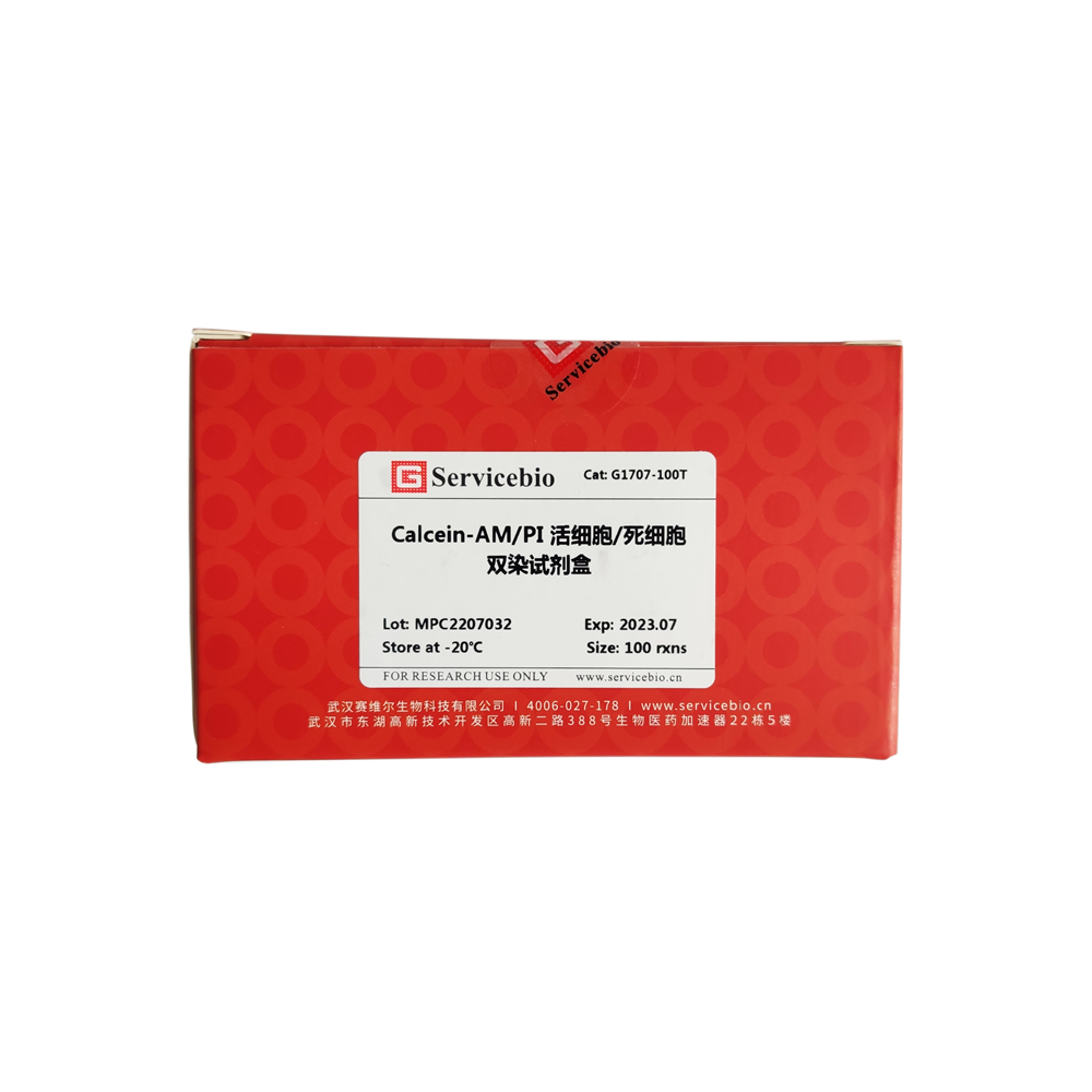 119-1. Calcein-AM/PI Living / Dead cell Double Staining Kit,