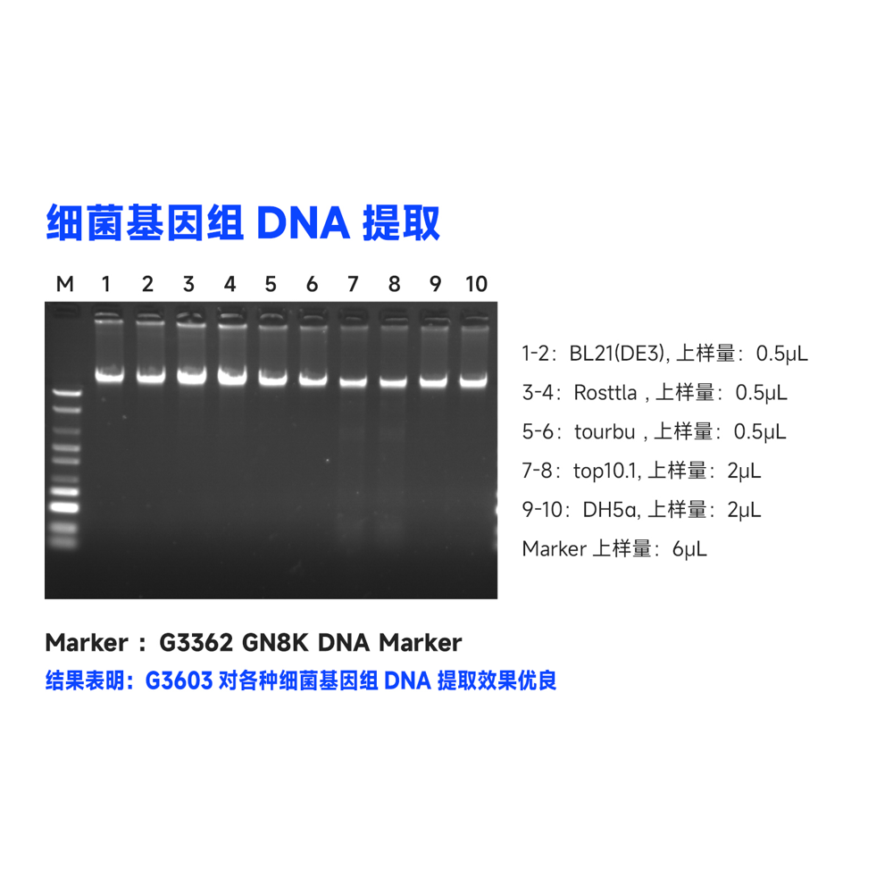 21. Magnetic Bead-based Bacterial Genomic DNA Extraction Kit