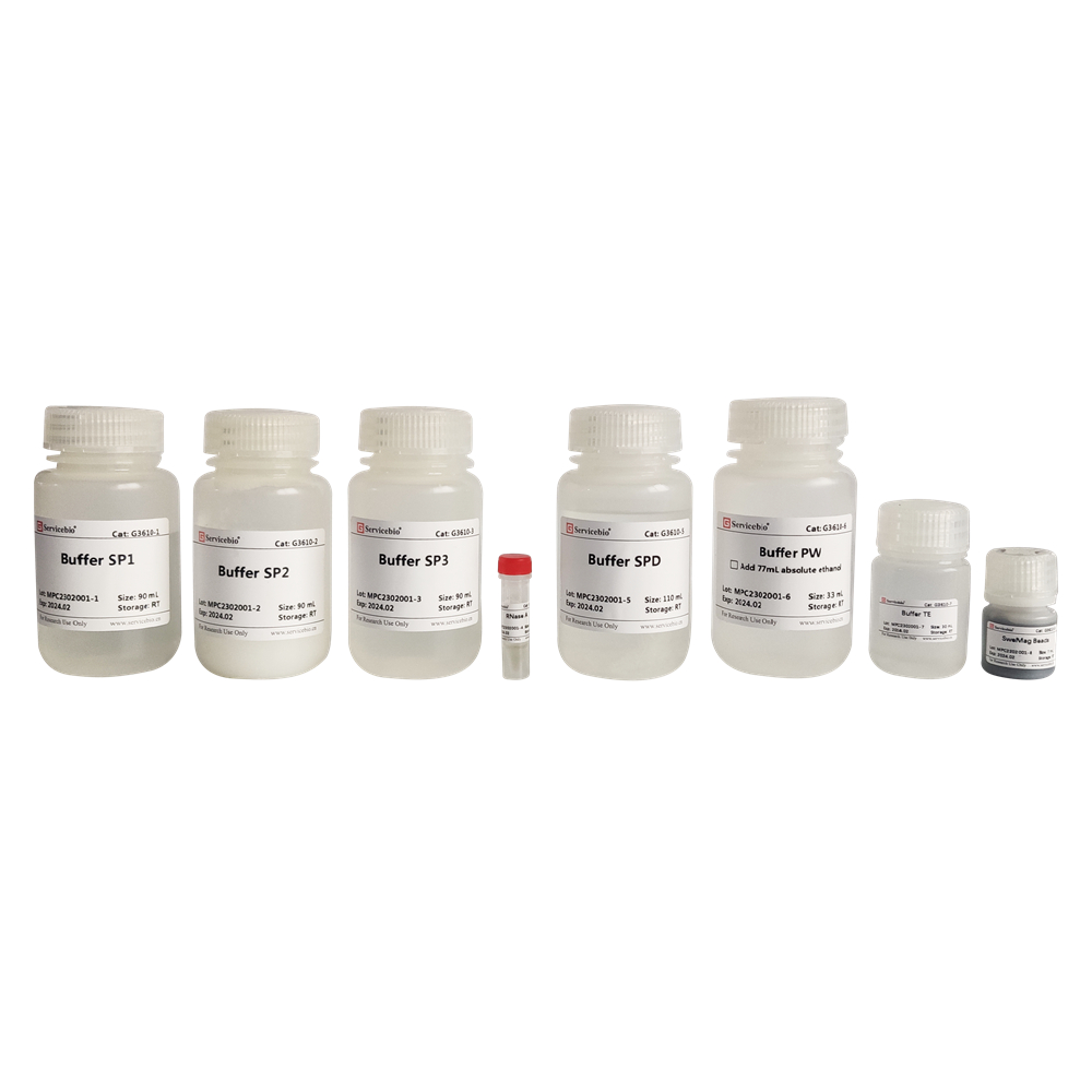 25. Magnetic Bead-based High-Purity Plasmid DNA Large-Scale Extraction Kit