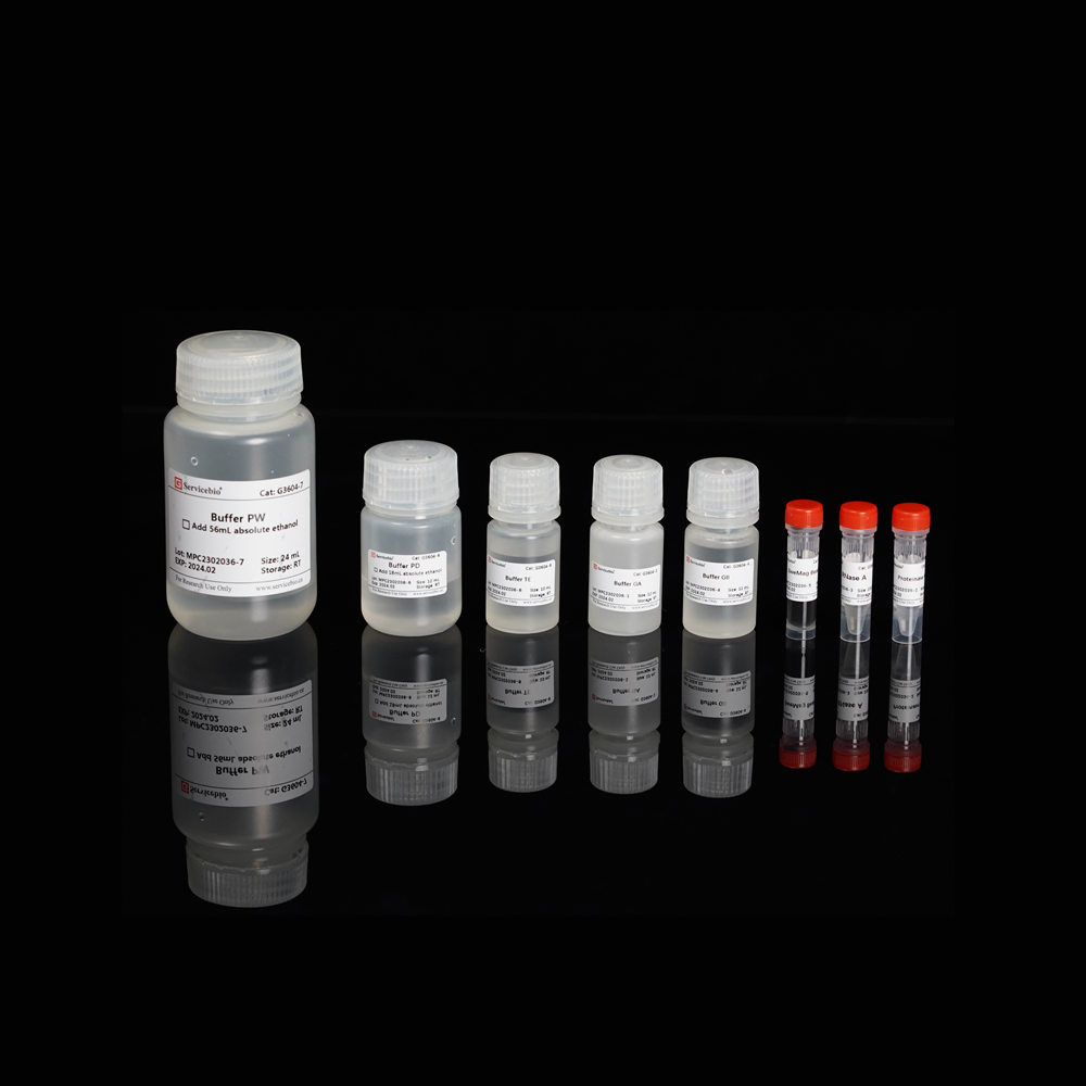 22. Magnetic Bead-based Blood/Tissue/Cell Genomic DNA Extraction Kit