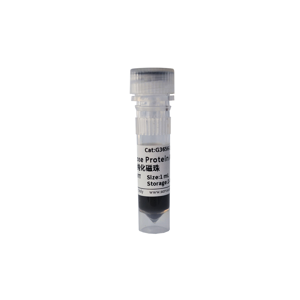 7. SweMagrose Protein A Antibody Purification Magnetic Beads ( 2ml $500 )  1 ml $250