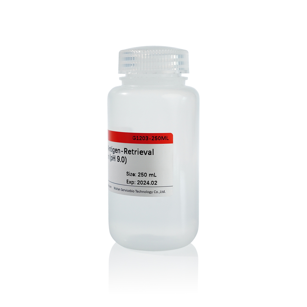 11. 20× Tris-EDTA Antigen Retrieval Solution (pH 9.0 , 250 ml, $145