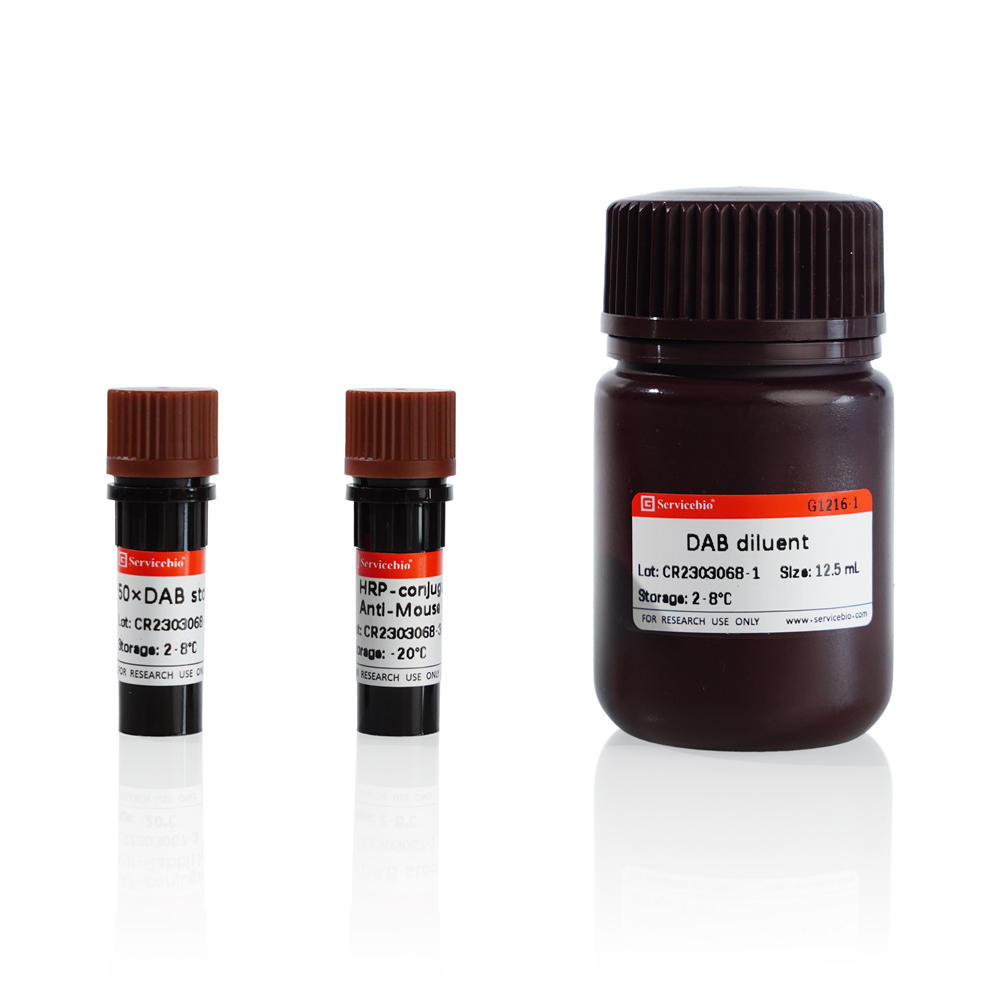 3. DAB, Immunohistochemistry Kit (Goat Anti-Mouse IgG H&L (HRP)) ( Type B),  200 T  $400