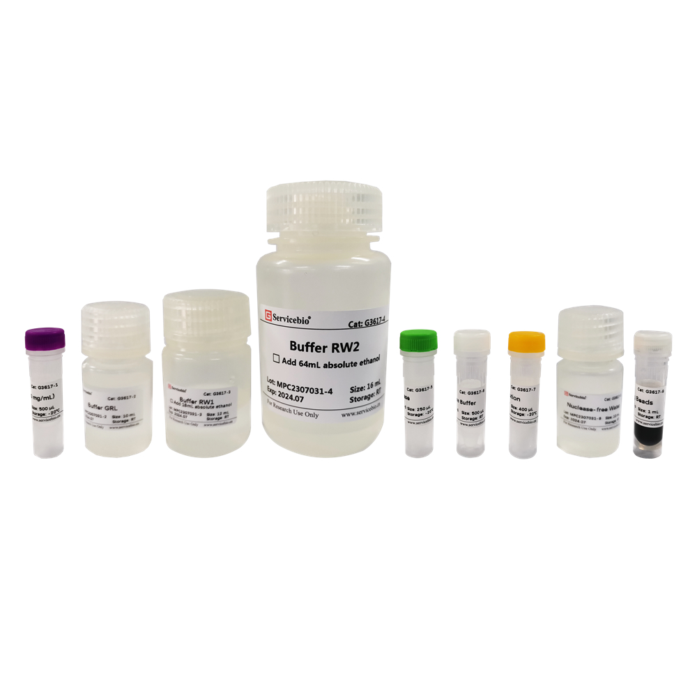 19. Bacterial Total RNA (Magnetic Bead-Based) Extraction Kit $500