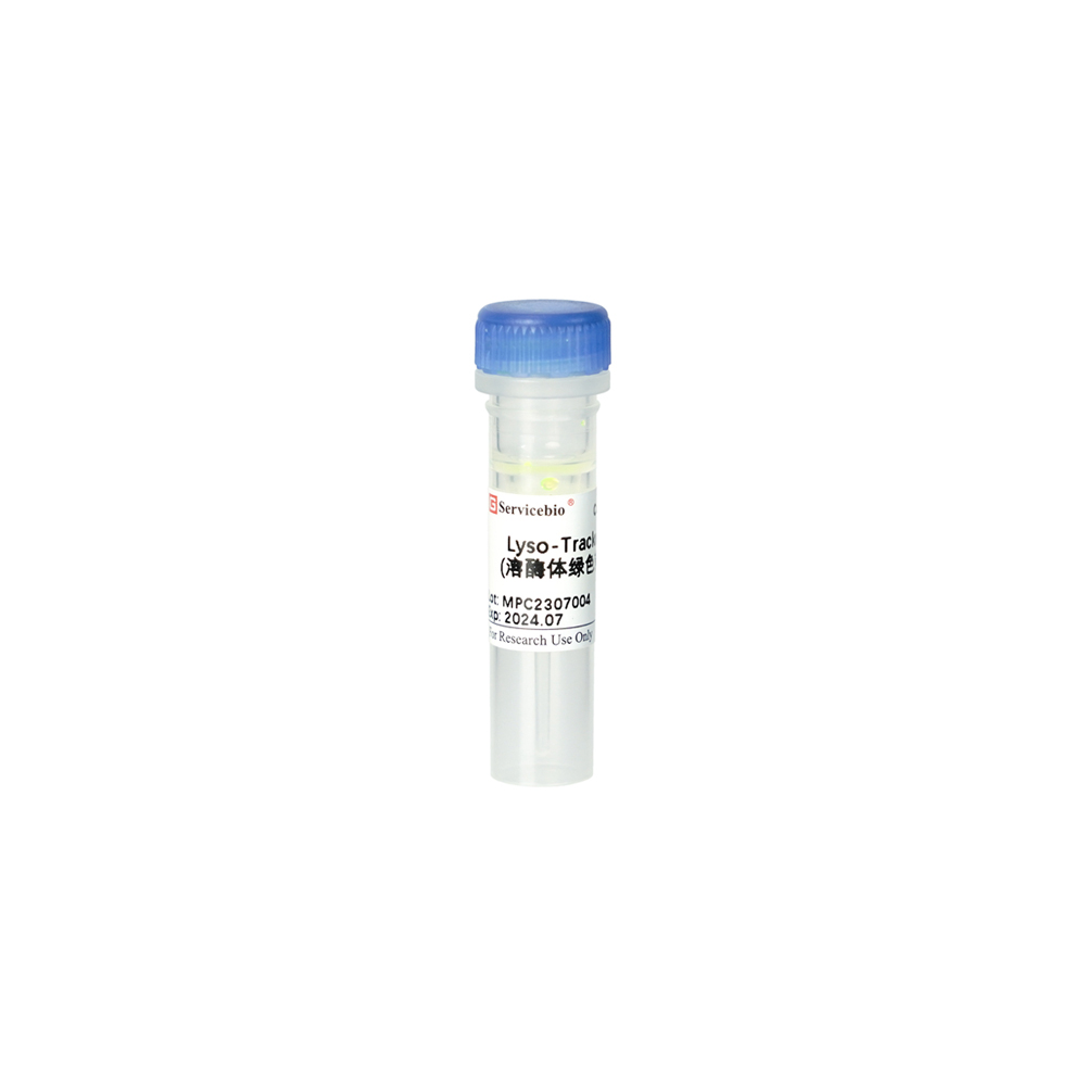 11.Lyso-Tracker Green (Lysosome Green Fluorescent Probe), 50ul (10000 times deluting as working concentration)  $599