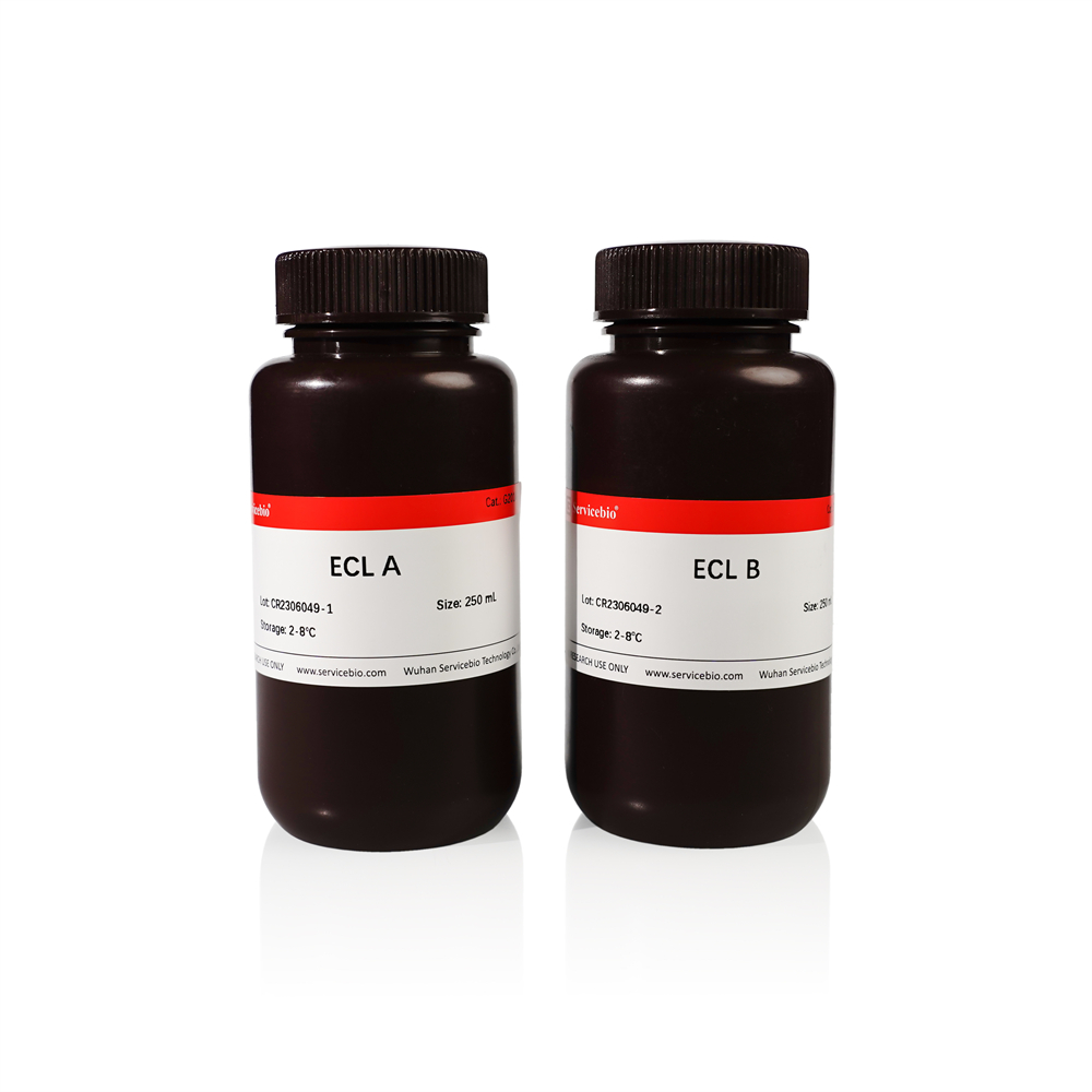 3. Regular ECL Chemiluminescence Detection Kit (Nano-Level), 500 ( 2 x 250 ) ml $420