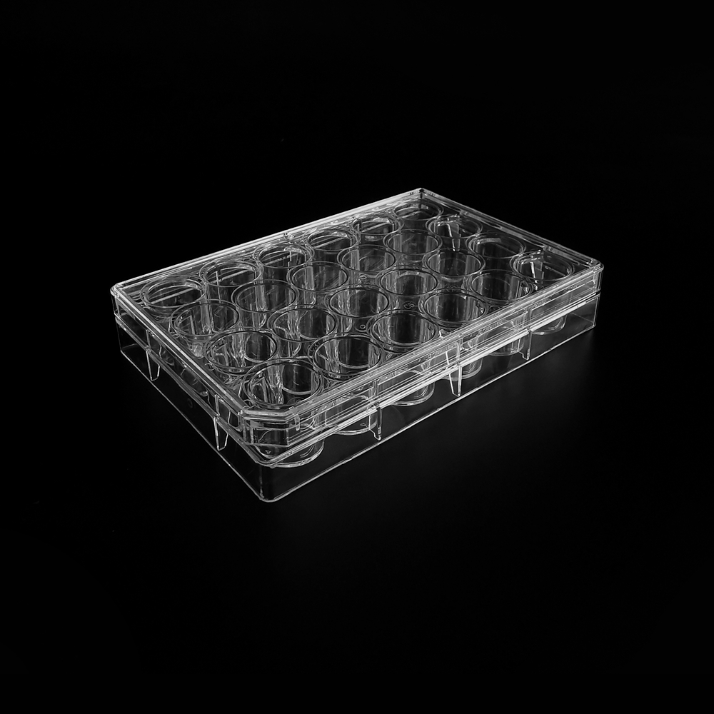 1. 24-Well Cell Culture Plate (Individually Wrapped, TC Treated)